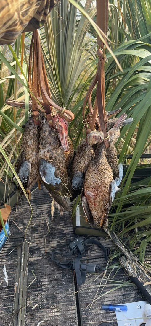 Dirty Duck Outdoors gallery photo