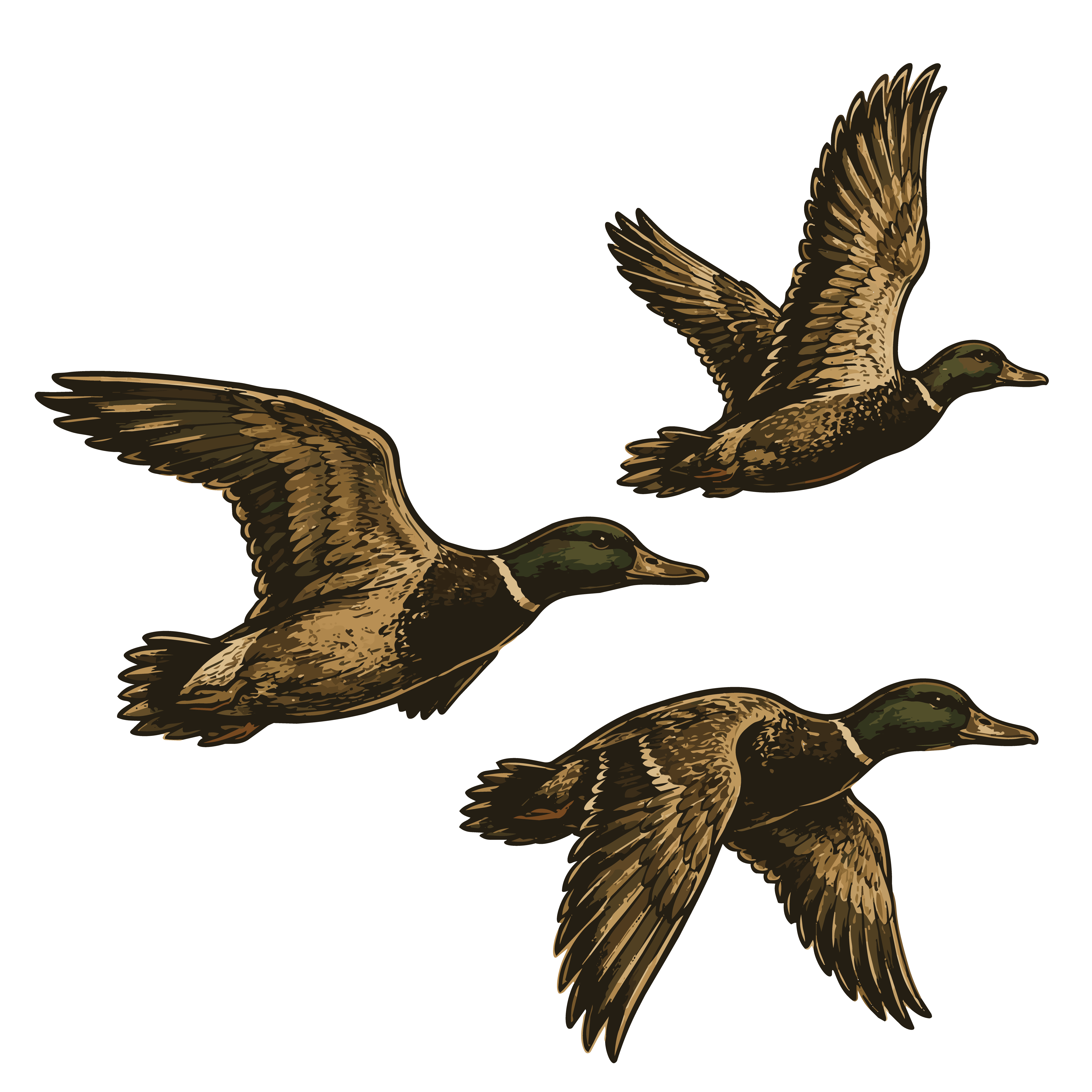 Duck Hunts icon