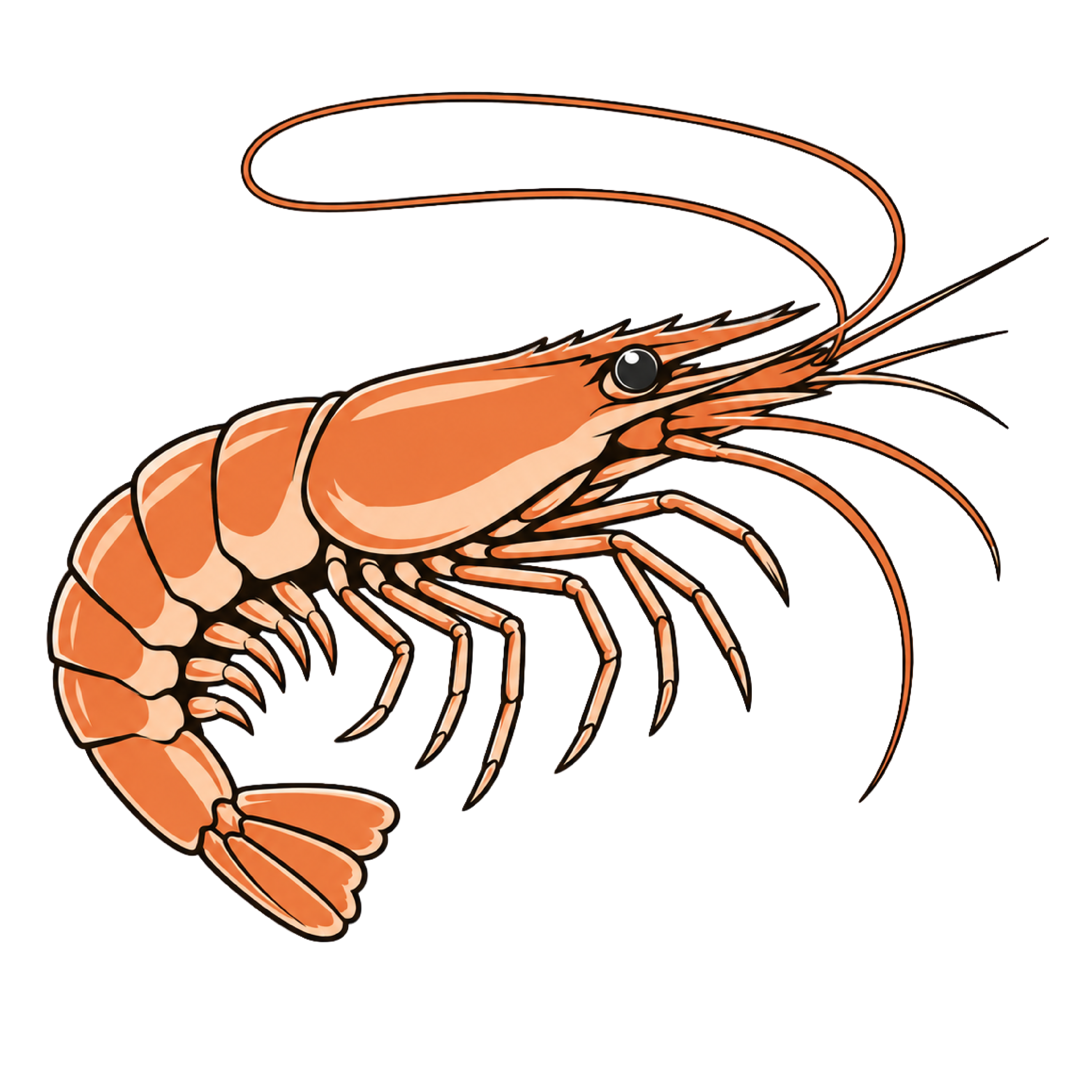 Shrimping Trips icon