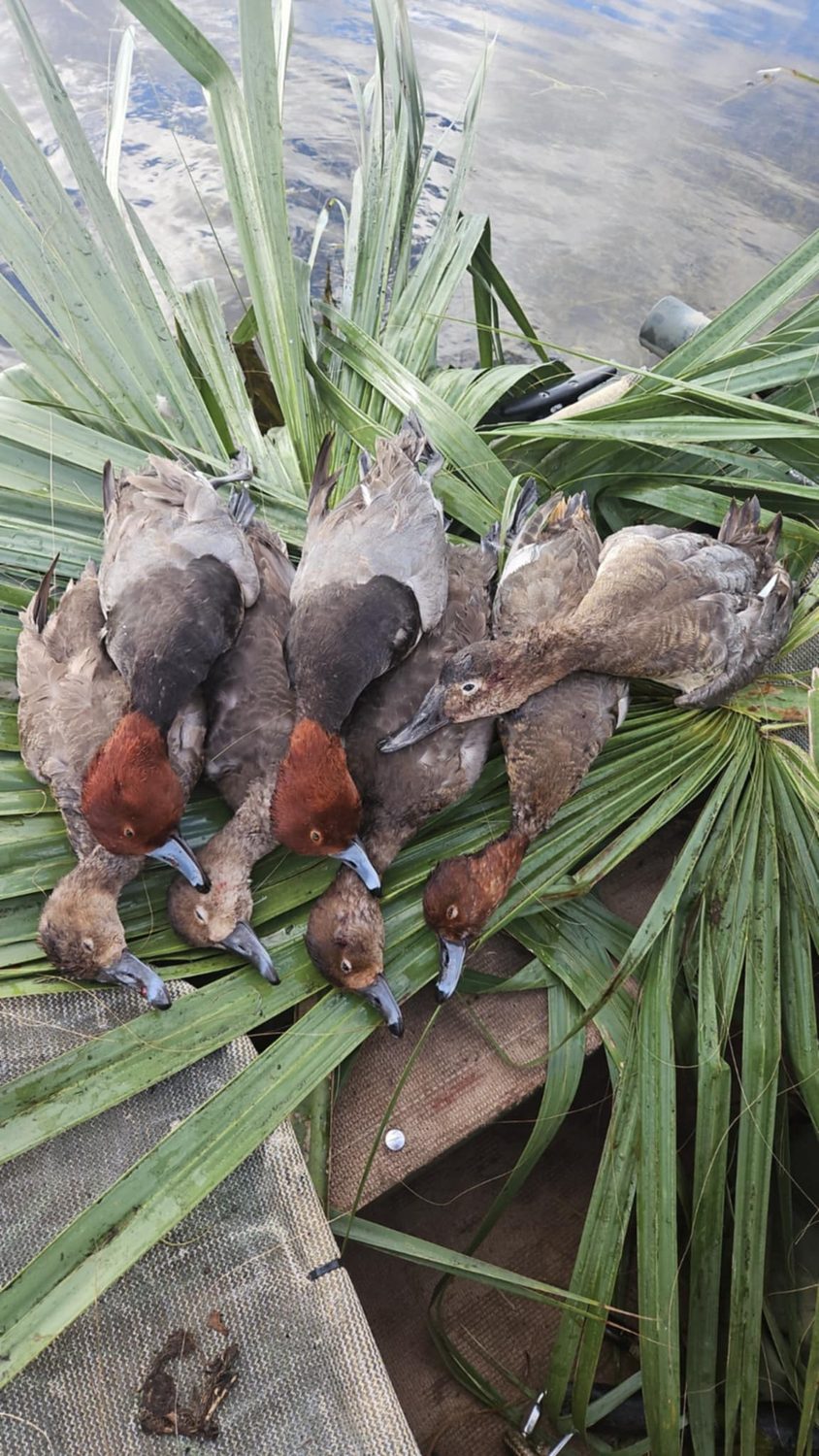 Dirty Duck Outdoors gallery photo