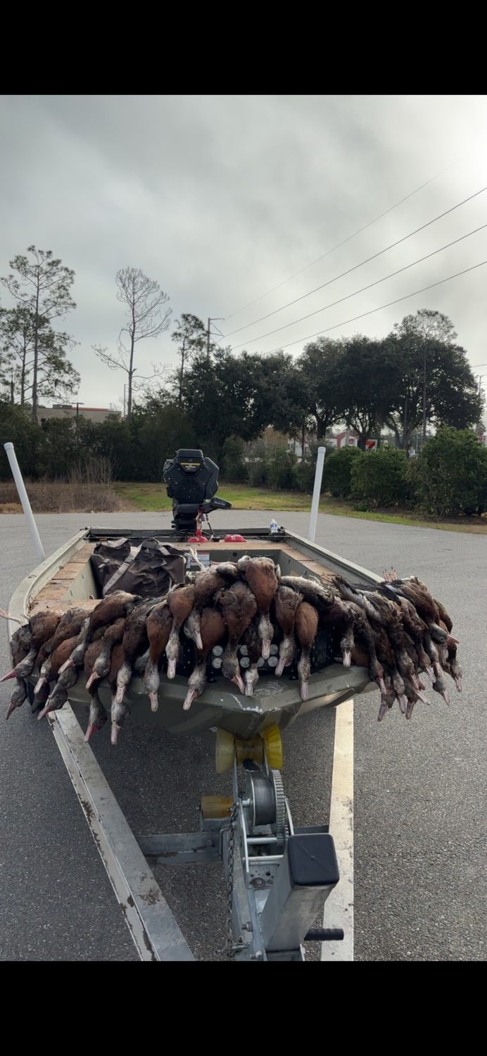 Dirty Duck Outdoors gallery photo
