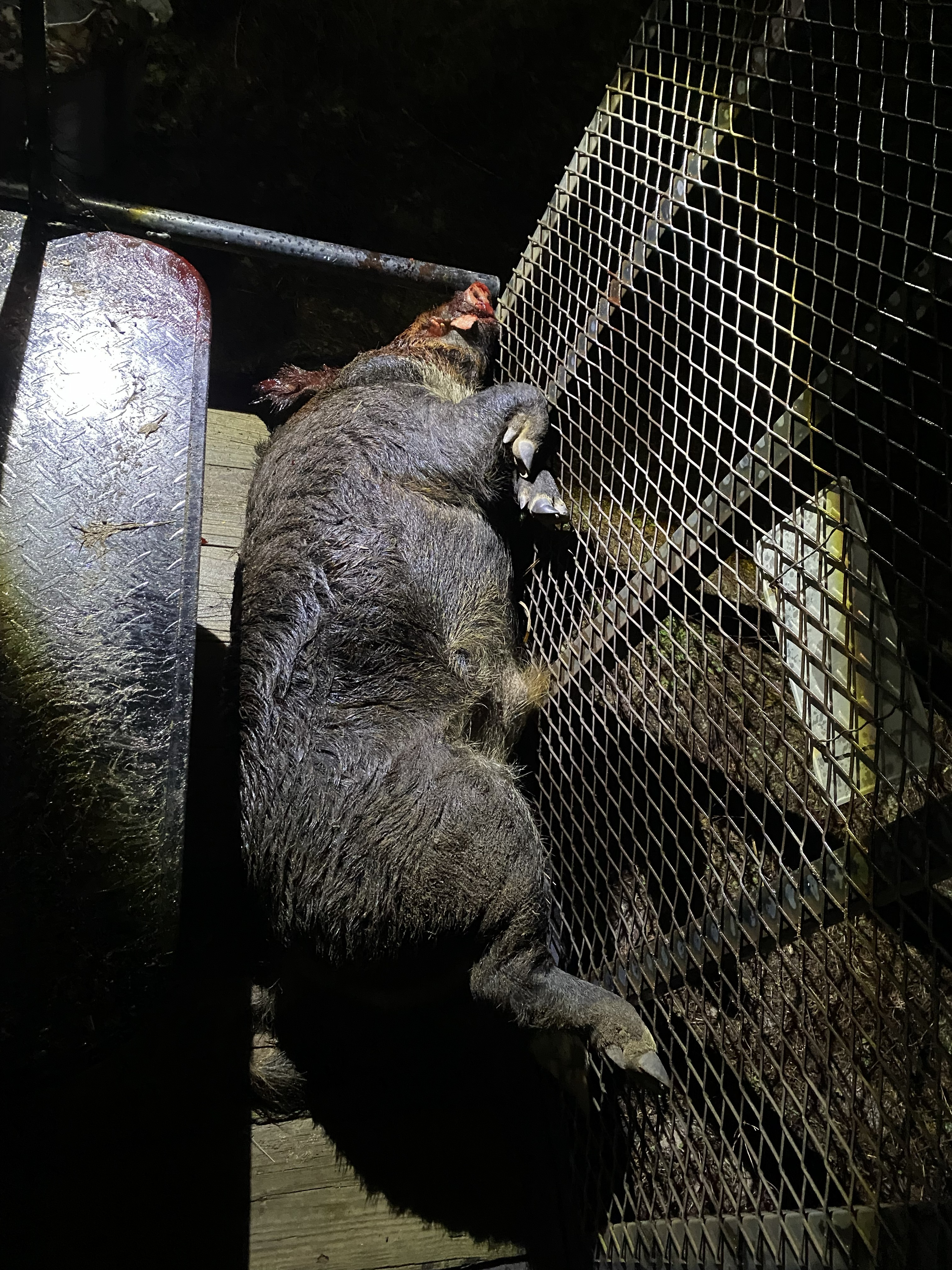 Dirty Duck Outdoors gallery photo